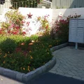 3 bedrooms apartment for rent in Oak Park SD - Inland, San Diego