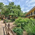 2 bedrooms apartment for rent in Mueller - East Austin, Austin