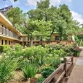 2 bedrooms apartment for rent in Mueller - East Austin, Austin