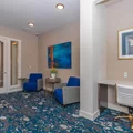 4 bedrooms apartment for rent in Southeast Austin - South Austin, Austin
