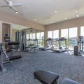 4 bedrooms apartment for rent in Southeast Austin - South Austin, Austin