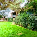 1 bedroom apartment for rent in Central Boise - Boise, Boise