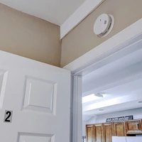 Coliving in Live Oaks Square - East Tampa, Tampa