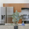 Coliving in Live Oaks Square - East Tampa, Tampa