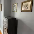 Coliving in West Parkside - West Philadelphia, Philadelphia