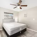 Coliving in Clearwater - Clearwater-St. Petersburg, Tampa