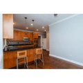 2 bedrooms apartment for rent in Logan Square - North Side, Chicago