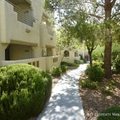 1 bedroom apartment for rent in Summerlin - Summerlin, Las Vegas