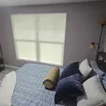 Coliving in Odessa - North Tampa, Tampa