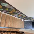 Coliving in East Houston - Ne Houston, Houston