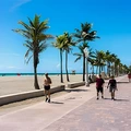 Coliving in Hollywood Fl - Broward County, Miami