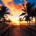Coliving in Hollywood Fl - Broward County, Miami