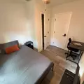 Coliving in Lowry Park North - North Tampa, Tampa