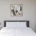 Coliving in Las Vegas - Las Vegas, Las Vegas