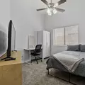 Coliving in Las Vegas - Las Vegas, Las Vegas