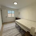 Coliving in Round Rock - North Austin, Austin