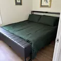 Coliving in Country Club Heights - East Charlotte, Charlotte