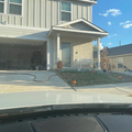 Coliving in Brooks City Base - South SATX, San Antonio