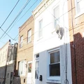 2 bedrooms apartment for rent in Port Richmond - North Philadelphia, Philadelphia