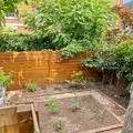 Coliving in Bloomingdale - NW DC, Washington DC
