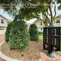 3 bedrooms apartment for rent in Bayshore Beautiful - South Tampa, Tampa