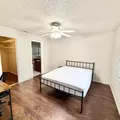 Coliving in Carrollwood - North Tampa, Tampa