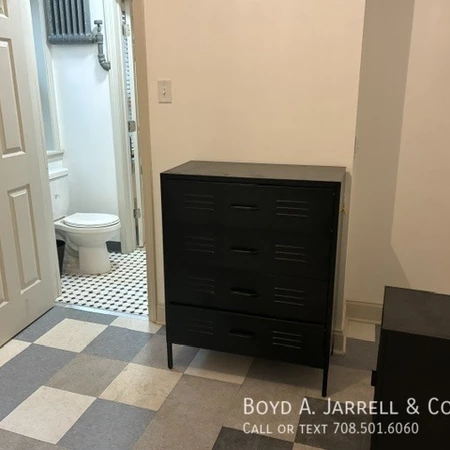 Studio Apartment for rent in Hyde Park - South Side, Chicago