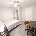 Coliving in Clearwater - Clearwater-St. Petersburg, Tampa