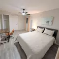 Coliving in Clearwater - Clearwater-St. Petersburg, Tampa