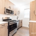 1 bedroom apartment for rent in Edgewater - Far North Side, Chicago