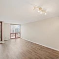 1 bedroom apartment for rent in River North - Central, Chicago