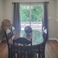 Coliving in College Park - South Atl, Atlanta