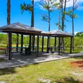 Coliving in Kenwood - Clearwater-St. Petersburg, Tampa