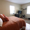 1 bedroom apartment for rent in Brighton - Boston, Boston