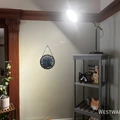 3 bedrooms apartment for rent in Boystown - North Side, Chicago