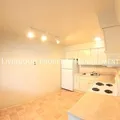 1 bedroom apartment for rent in Broadmoor - Central COS, Colorado Springs
