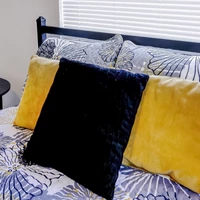 Coliving in Clearwater - Clearwater-St. Petersburg, Tampa