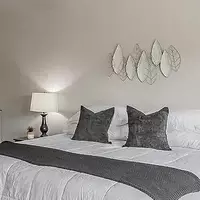 Coliving in Druid Hills - North Charlotte, Charlotte