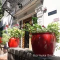 Studio Apartment for rent in Pico Union - Central Los Angeles, Los Angeles