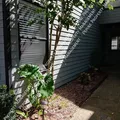 2 bedrooms apartment for rent in Archer - Archer, Gainesville