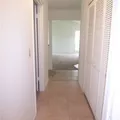 2 bedrooms apartment for rent in Town 'n' Country - West Tampa, Tampa