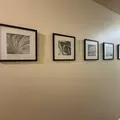 Coliving in Clayton County GA - South Atl, Atlanta
