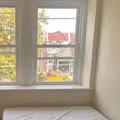 Coliving in Chestnut Hill - Nw Philadelphia, Philadelphia