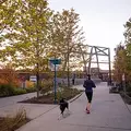 2 bedrooms apartment for rent in Bucktown - North Side, Chicago