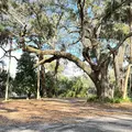 Coliving in Seffner - East Tampa, Tampa