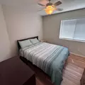 Coliving in Las Vegas - Las Vegas, Las Vegas