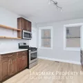 1 bedroom apartment for rent in Lower West Side - West Side, Chicago