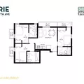 Coliving in Downtown Miami - Miami, Miami