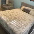Coliving in Apollo Beach - South Tampa, Tampa