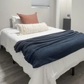 Coliving in Lowry Park Central - North Tampa, Tampa
